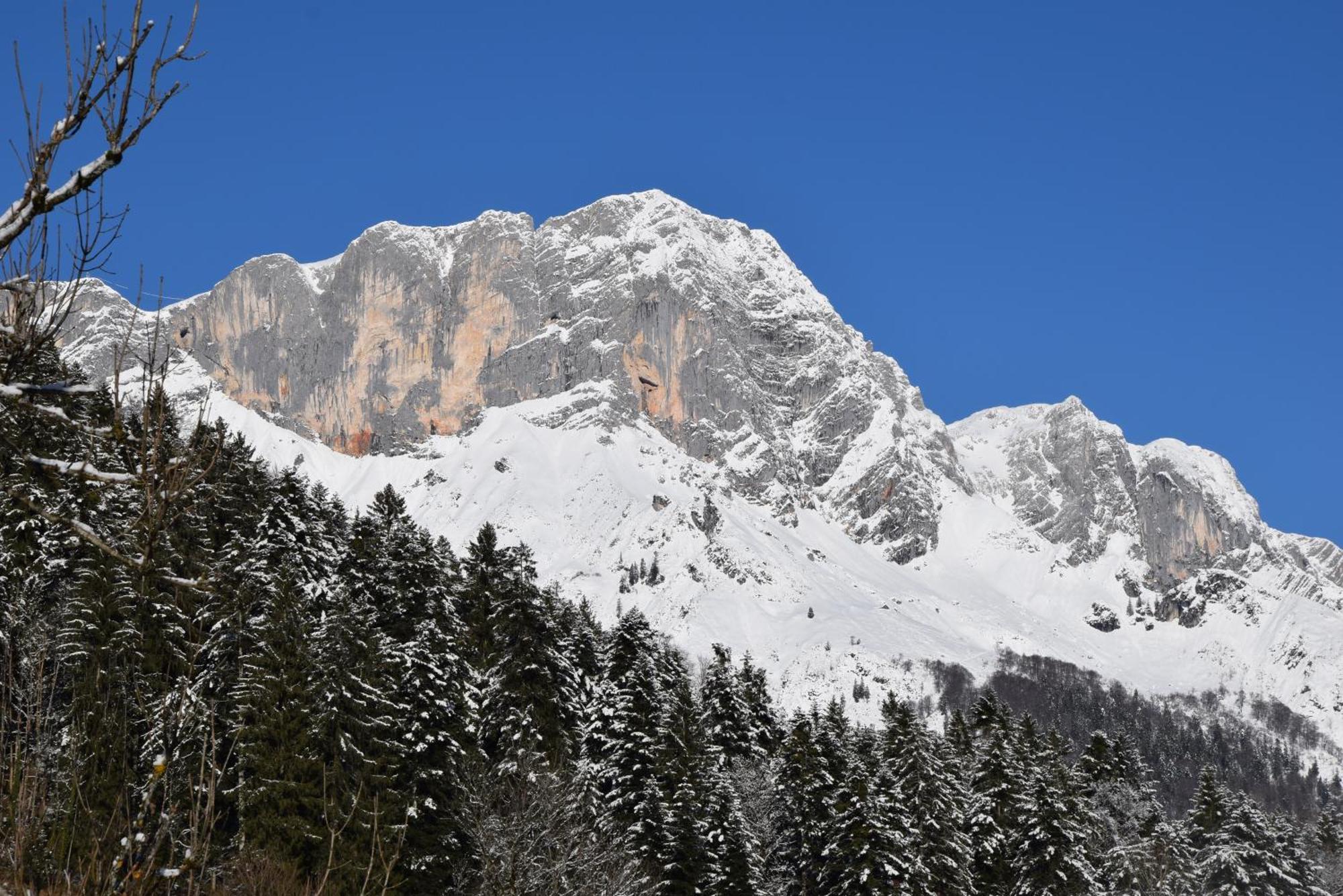Appartement Feapp Jennerblick Maria Gern à Hintergern Extérieur photo